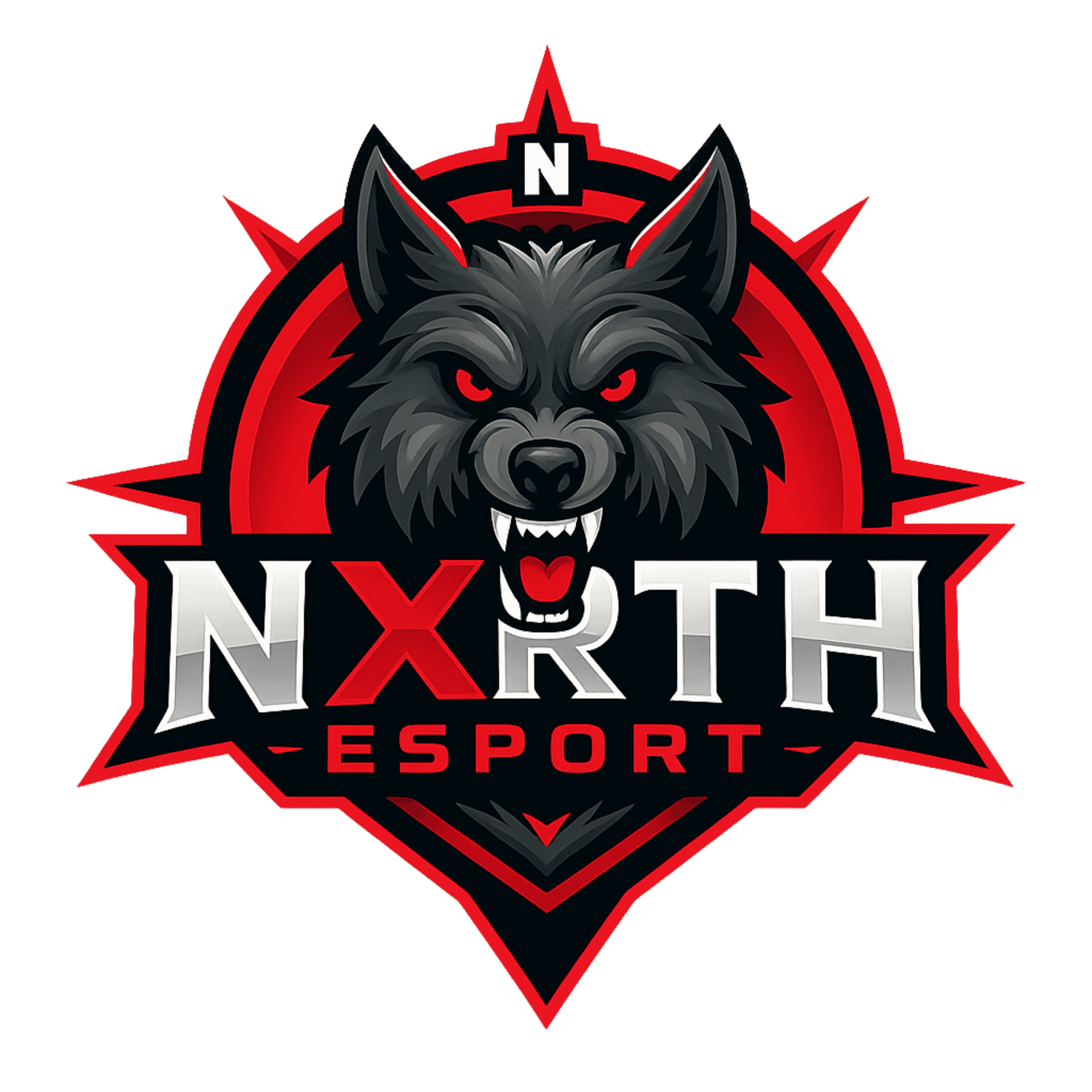 NXRTH ESPORT logo