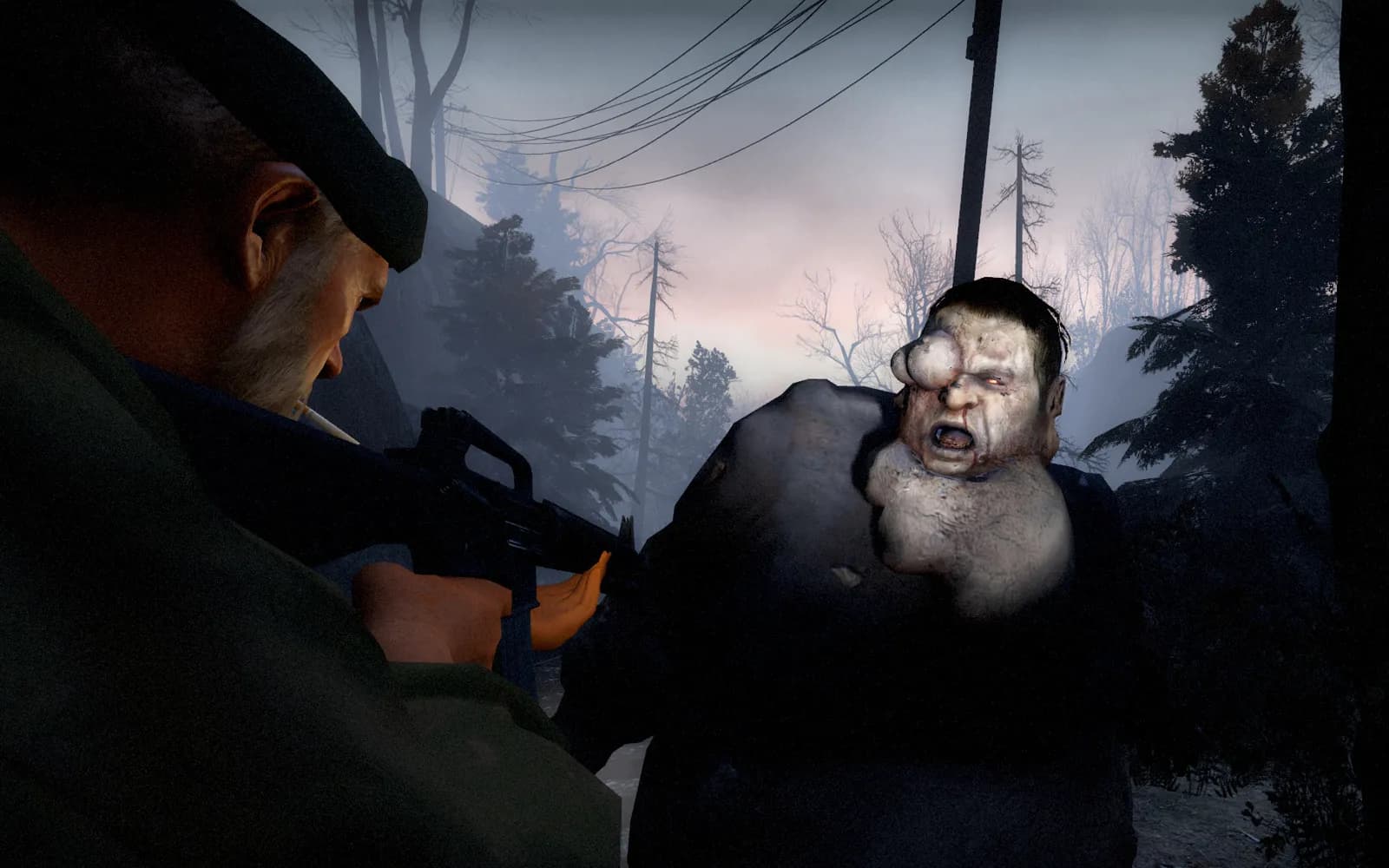 Left 4 Dead server hosting banner #1