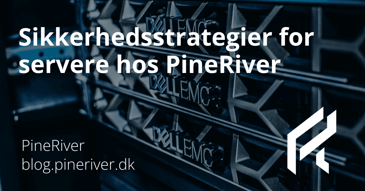 Security strategies for servers at PineRiver