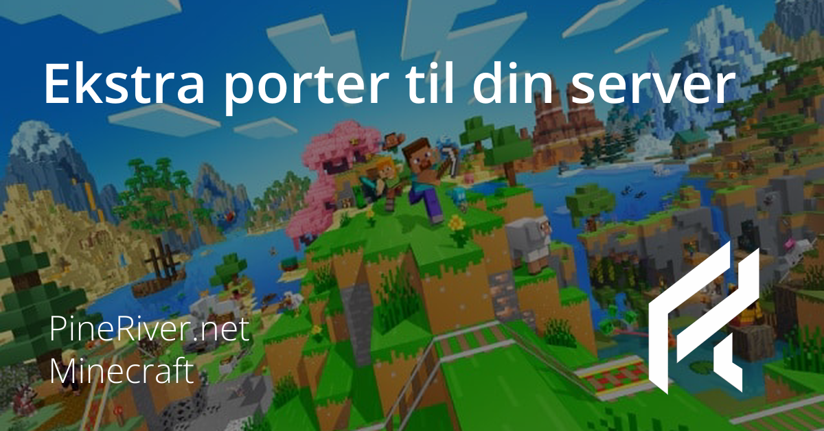 Ekstra porter til din server
