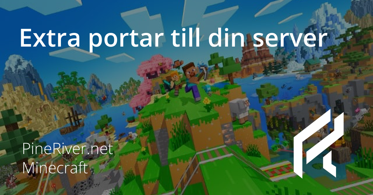 Extra portar till din server