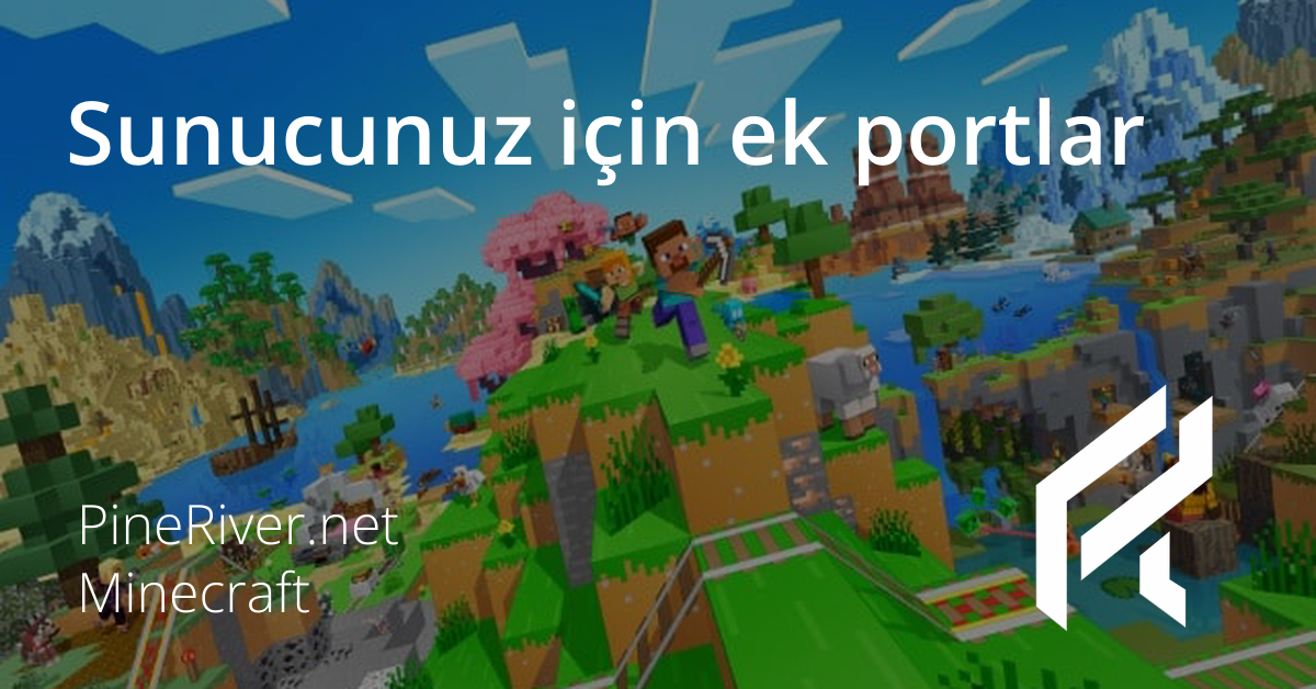Sunucunuz için ek portlar
