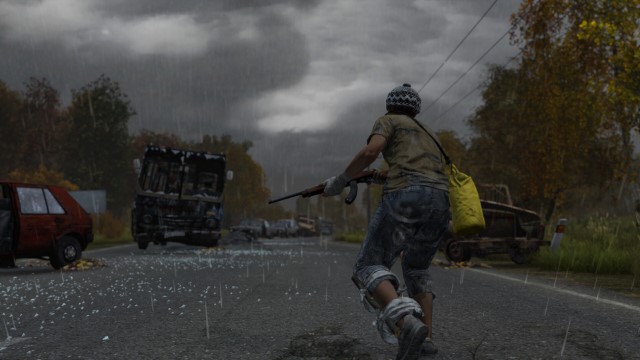 DayZ server hosting banner #4